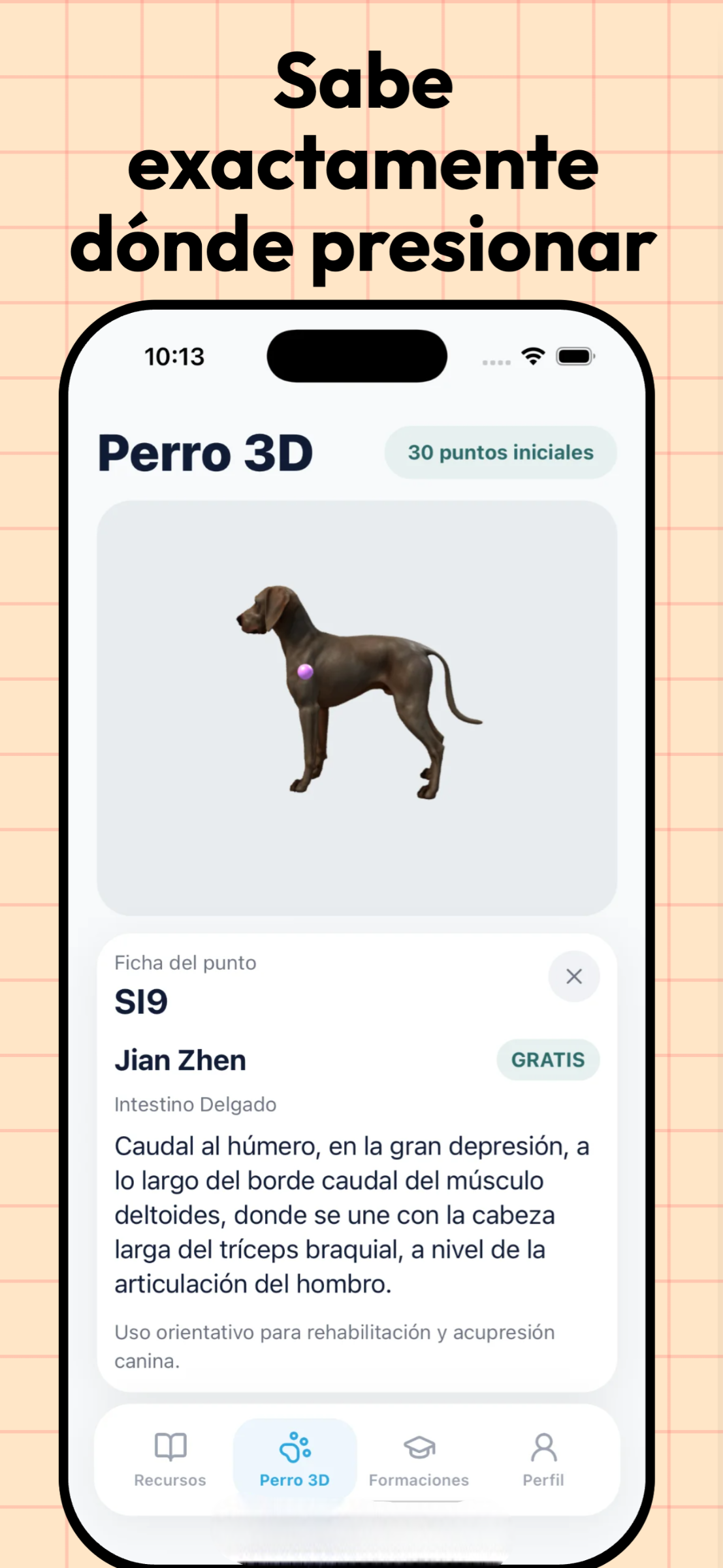 Vista de la aplicación Rehabilit Pet